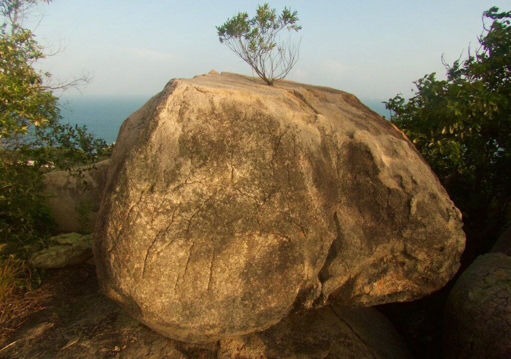 Photo of Others in Picnic Bay