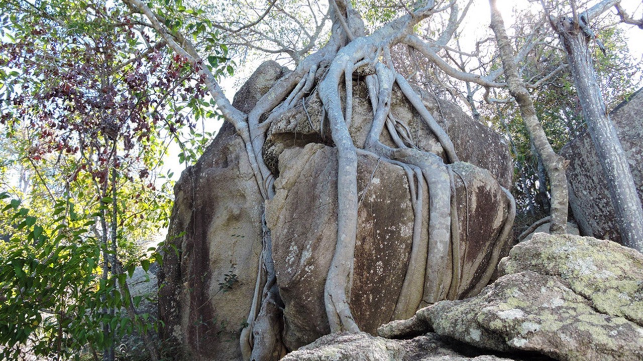 Photo of Outdoor in Picnic Bay