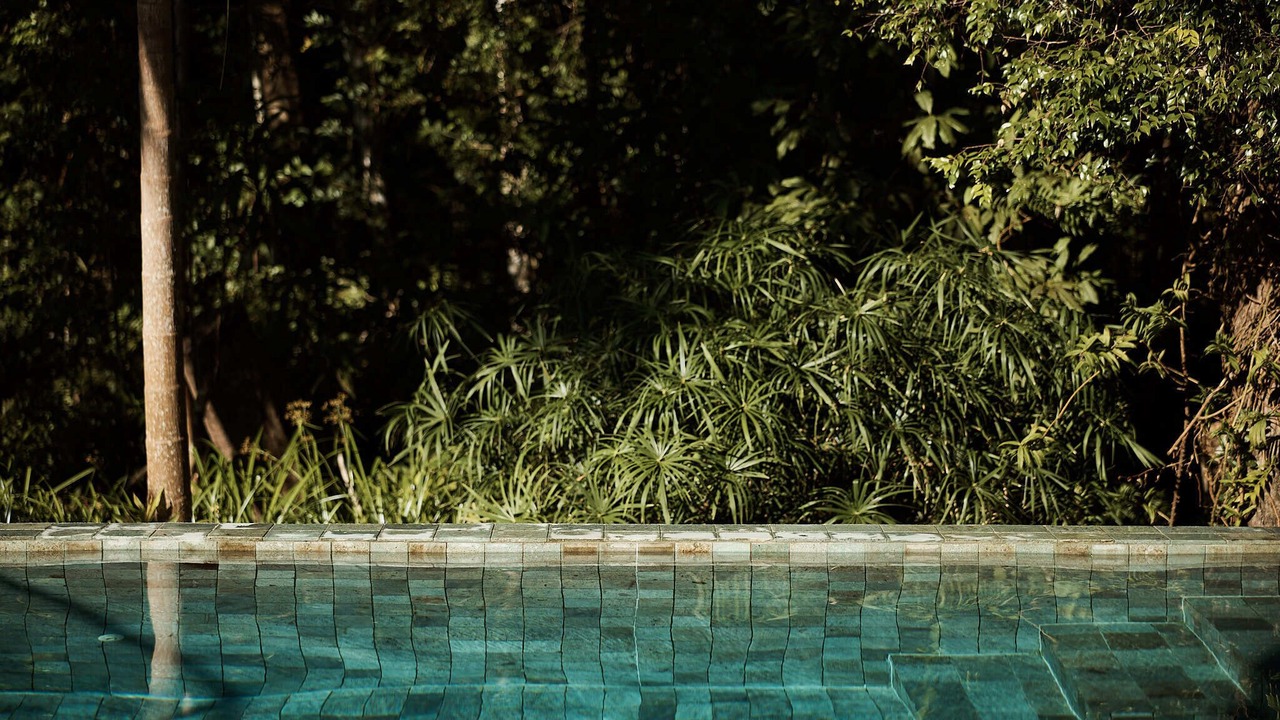 Photo of Outdoor in Noosa Heads