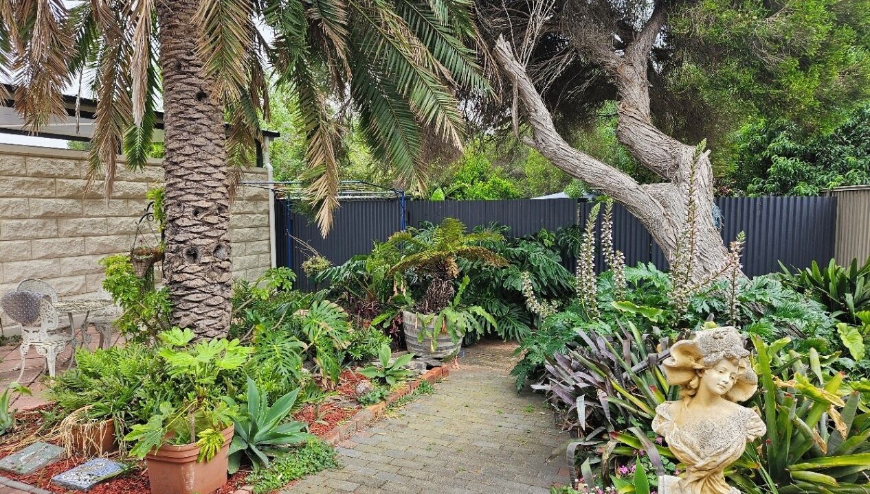 Photo of Outdoor in Goolwa
