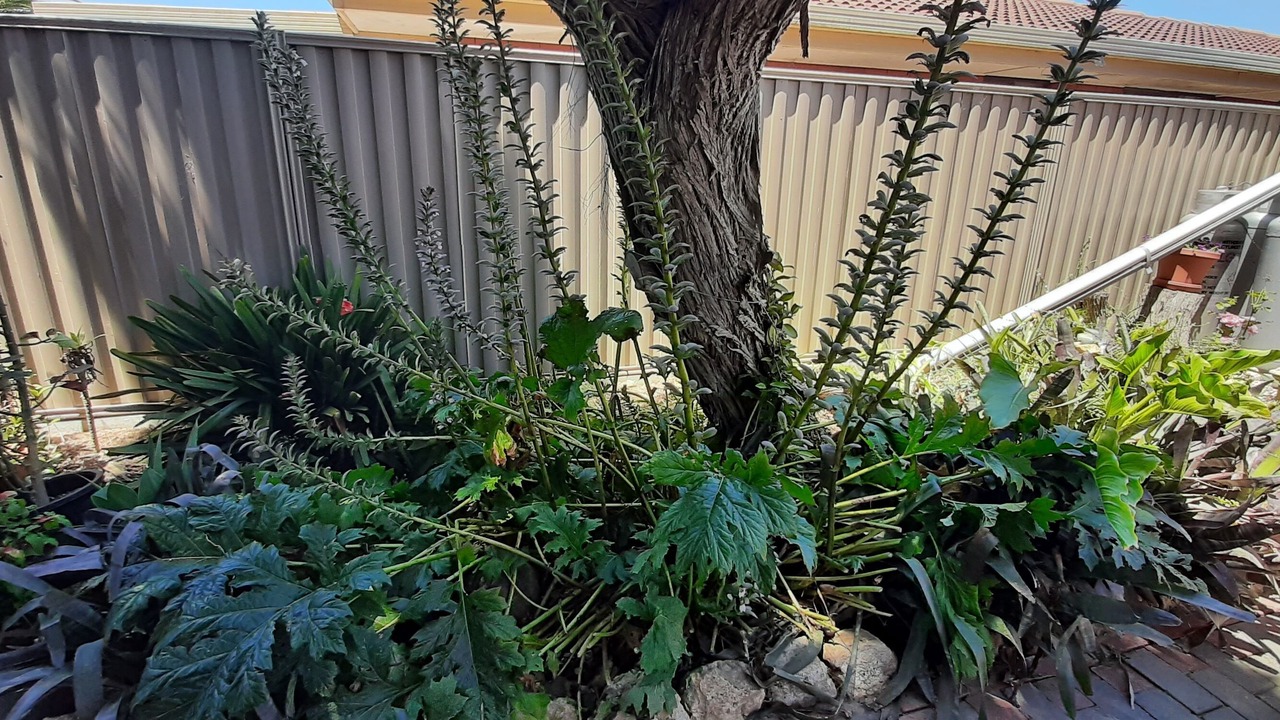 Photo of Outdoor in Goolwa