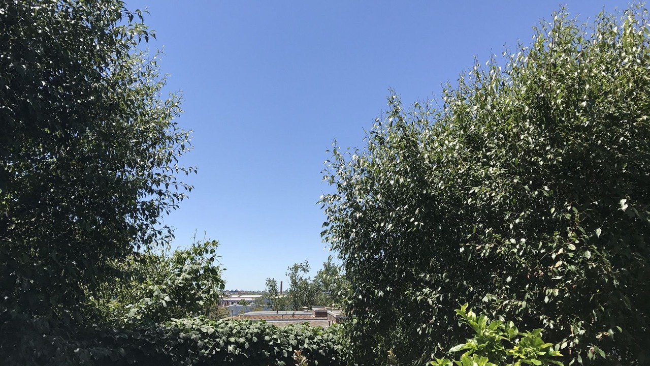 Photo of Outdoor in South Yarra