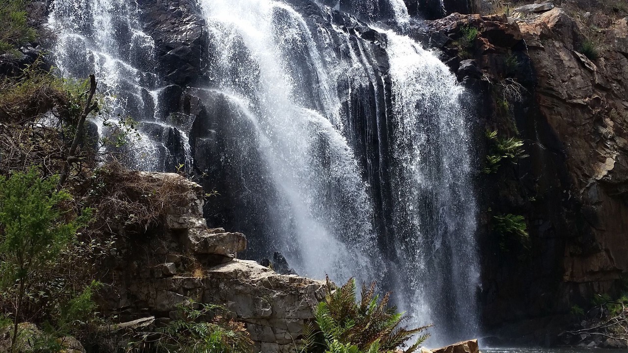 Photo of Others in Halls Gap