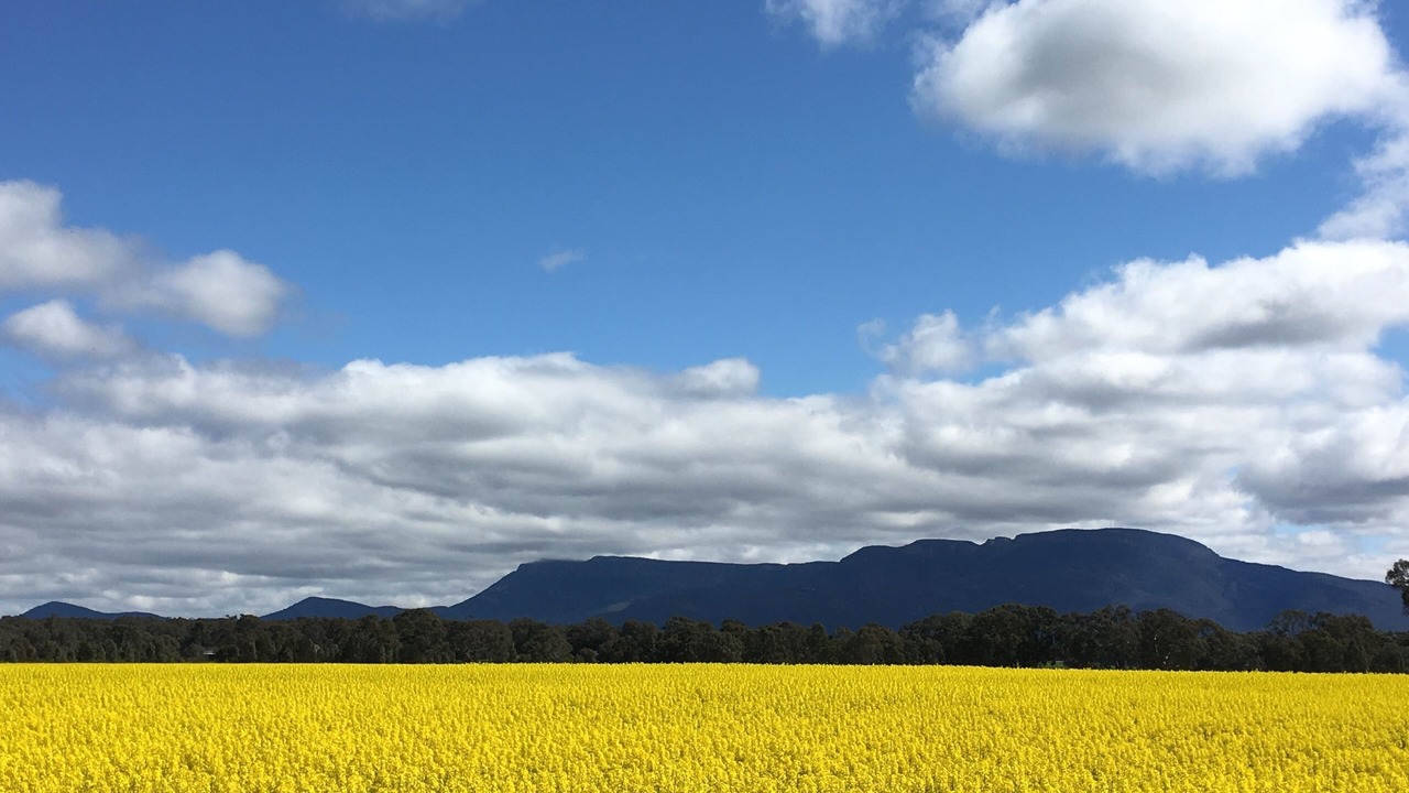 Photo of Others in Halls Gap