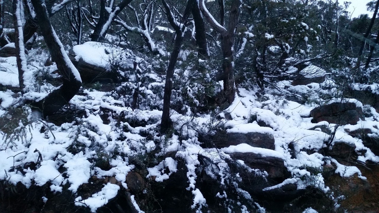 Photo of Others in Halls Gap