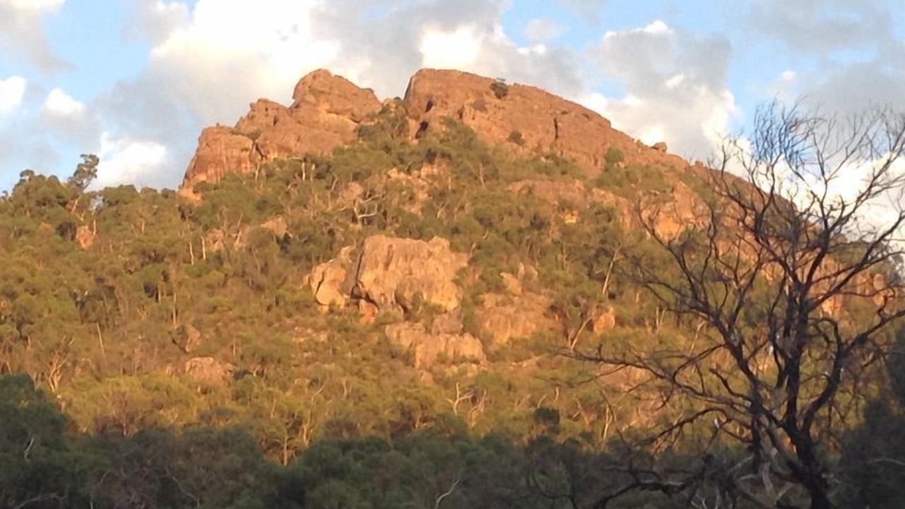 Photo of Others in Halls Gap