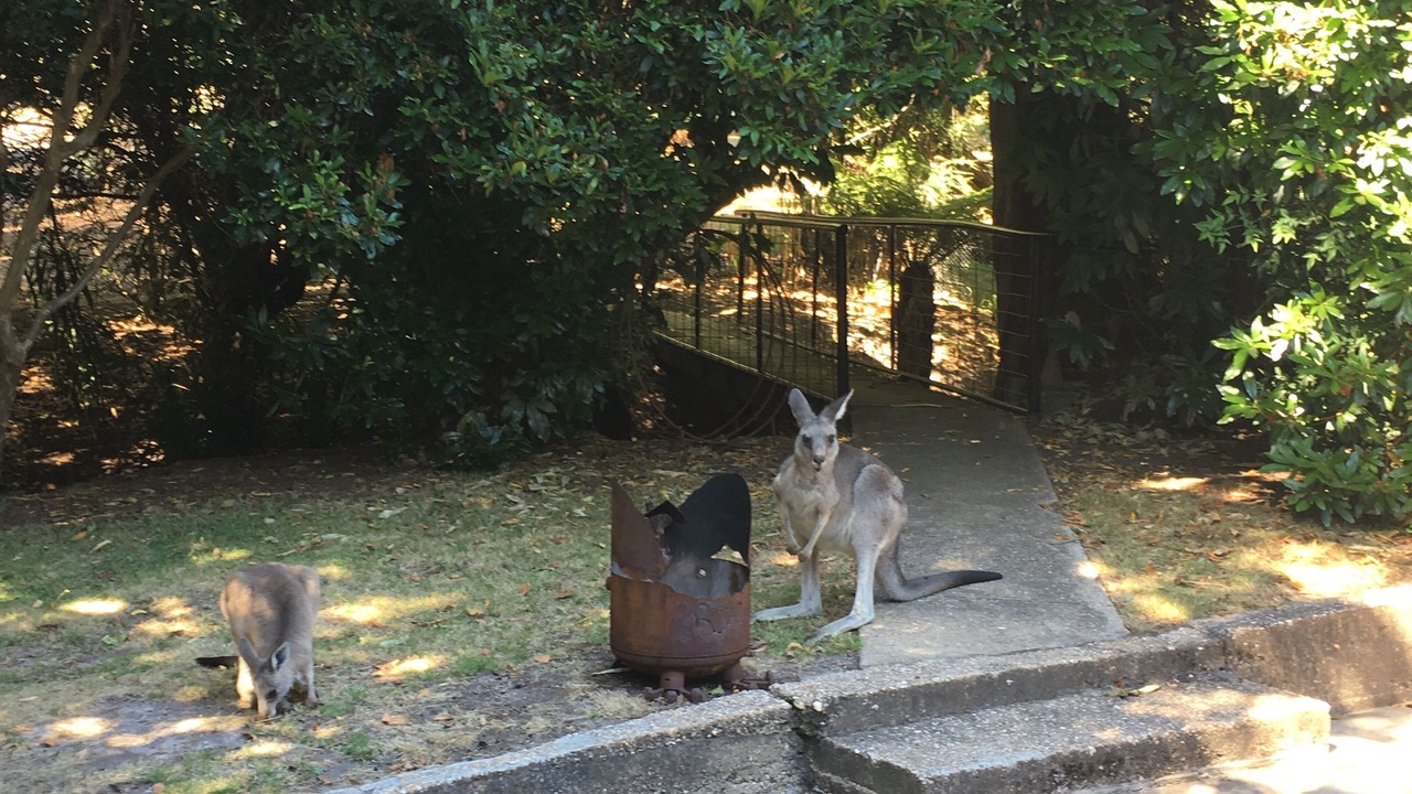 Photo of Outdoor in Halls Gap