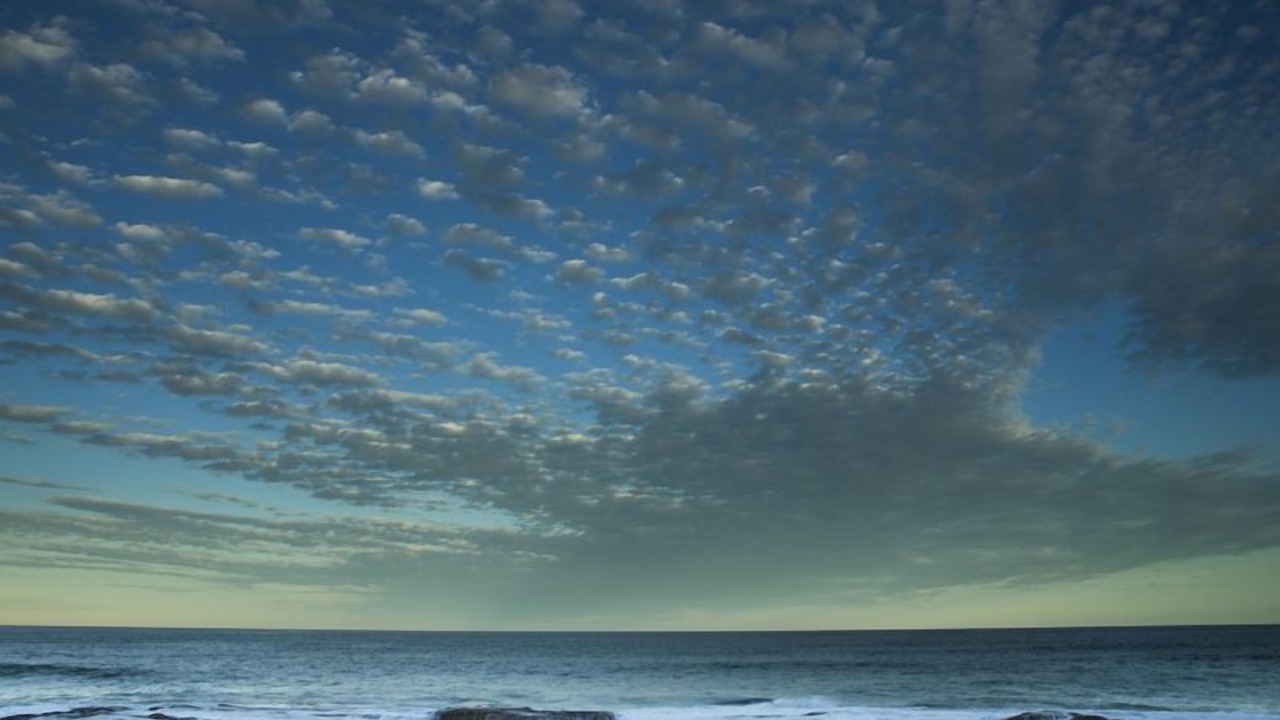 Photo of Others in North Bondi