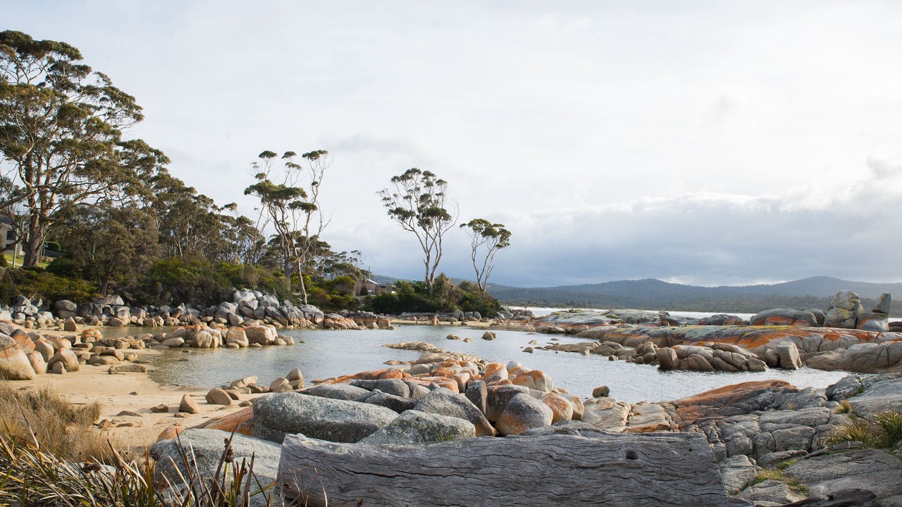 Photo of Others in Binalong Bay