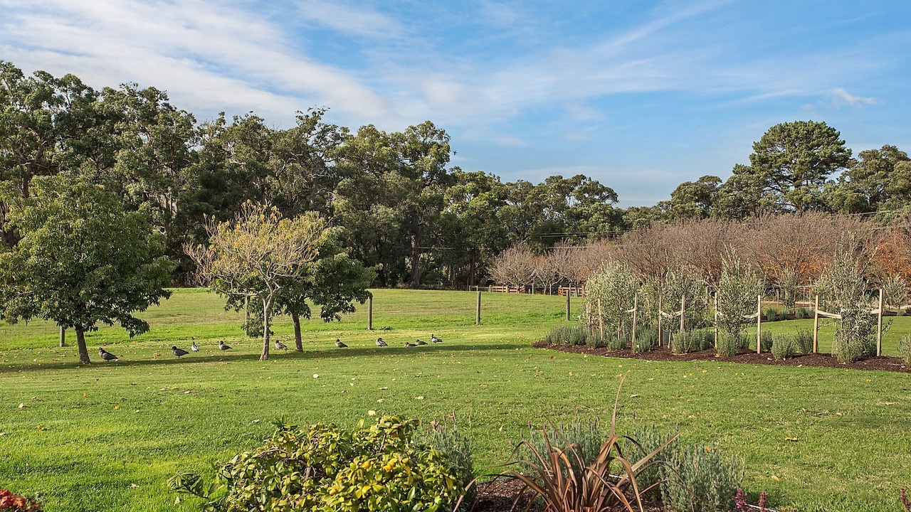 Photo of Outdoor in Merricks North