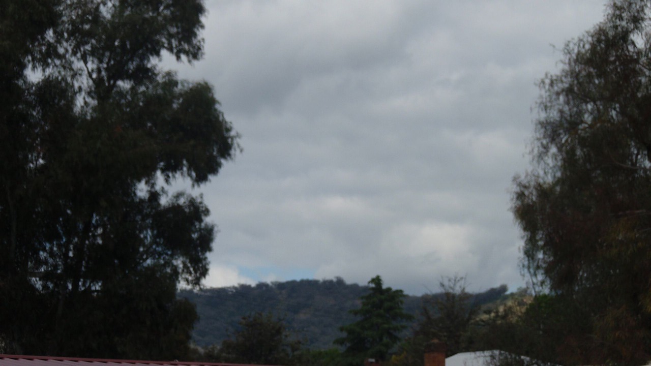 Photo of Others in Central Mudgee