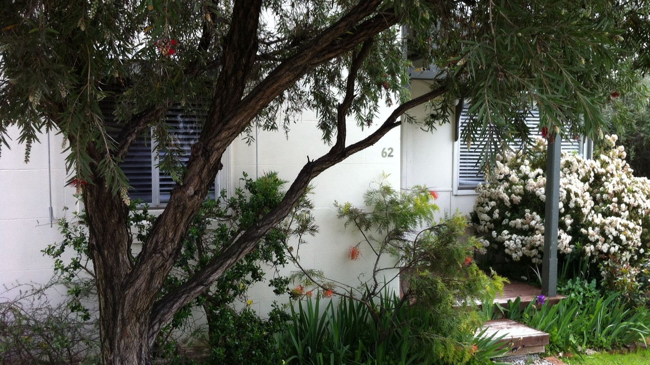 Photo of Outdoor in Central Mudgee
