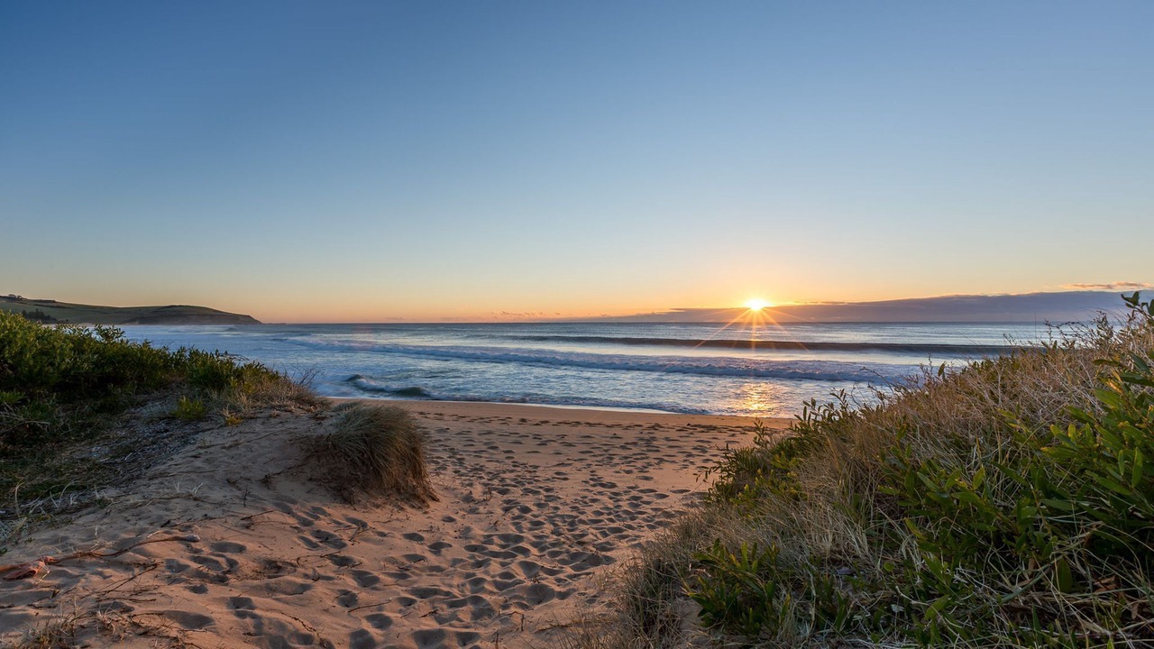 Photo of Others in Werri Beach