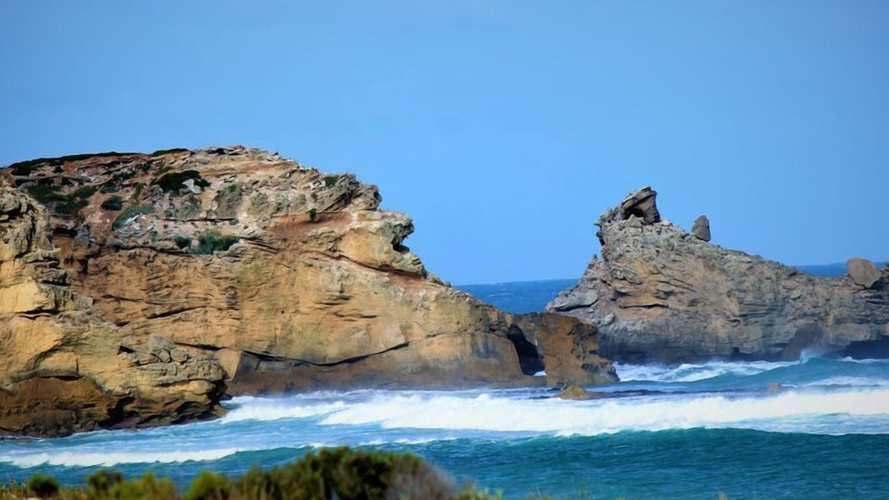 Photo of Others in Port Macdonnell