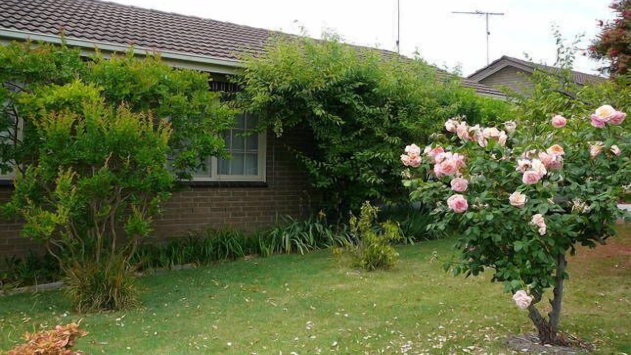 Photo of Outdoor in Torquay