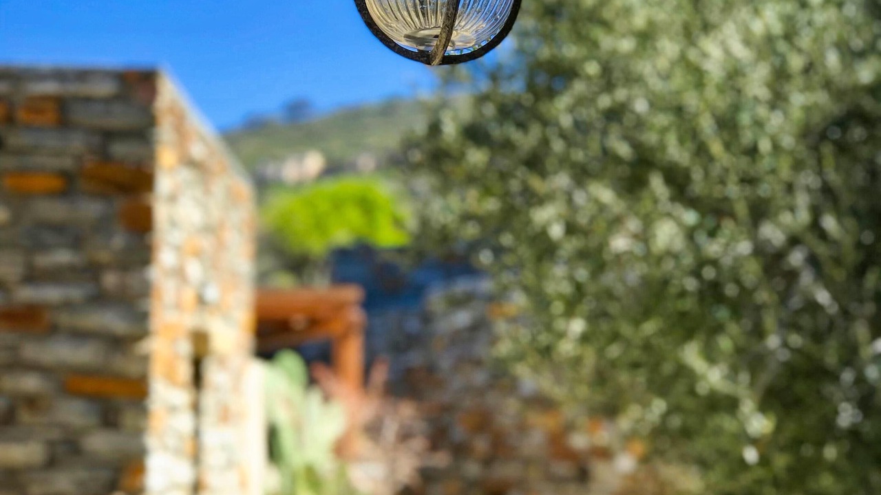 Photo of Outdoor in Kea