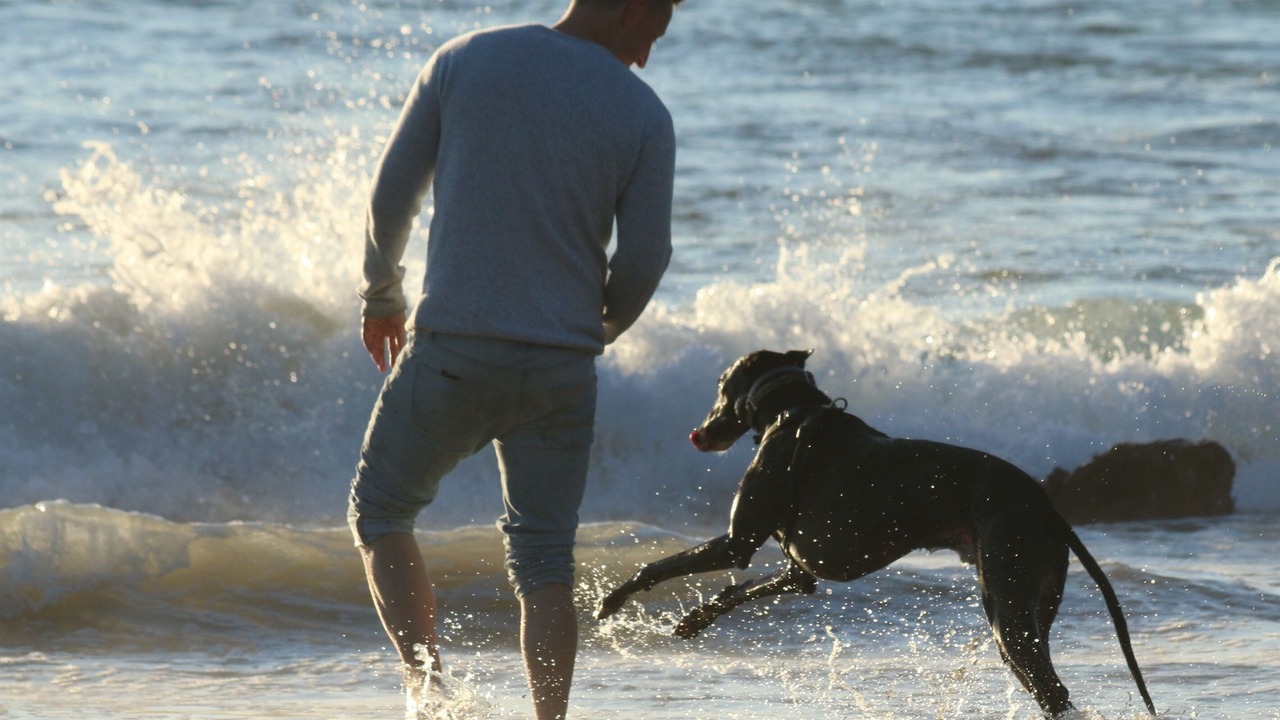 Photo of Others in Diamond Beach
