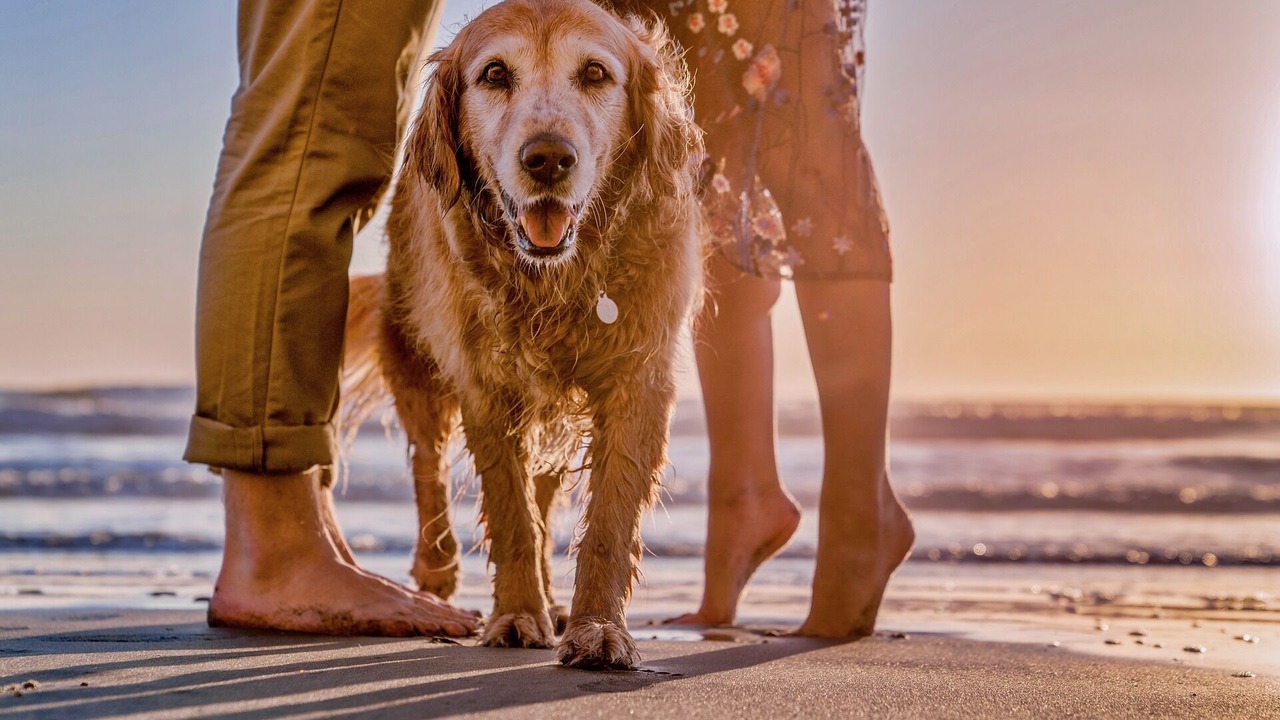 Photo of Others in Diamond Beach