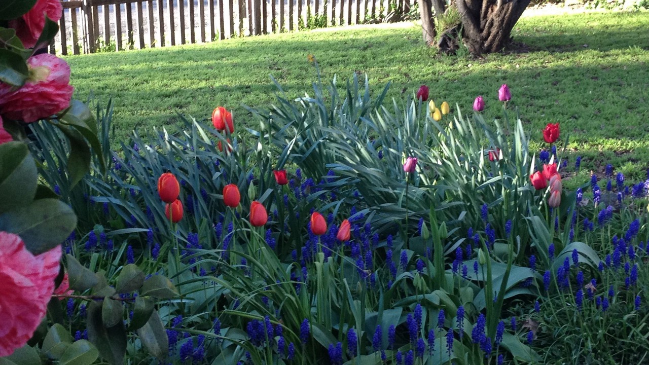Photo of Outdoor in Millthorpe