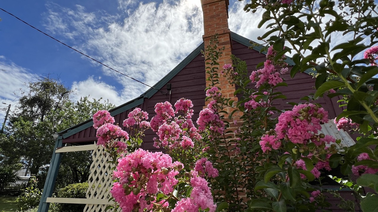 Photo of Outdoor in Texas