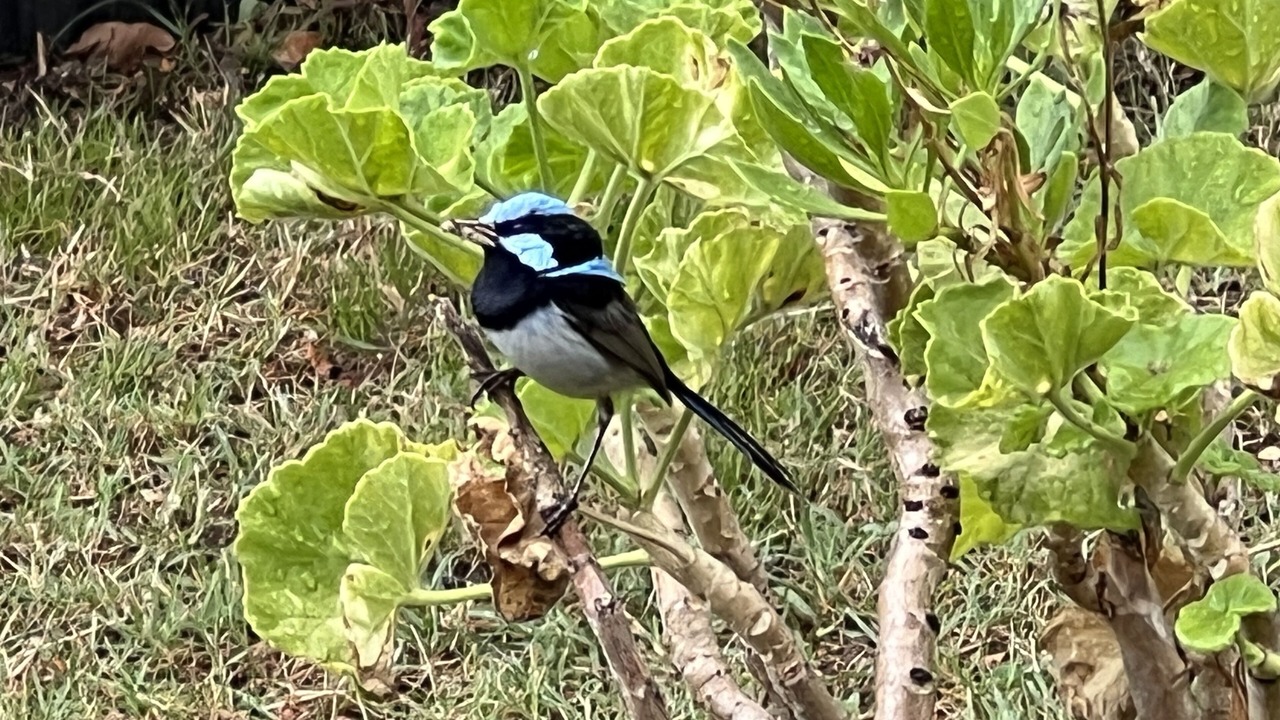 Photo of Outdoor in Texas