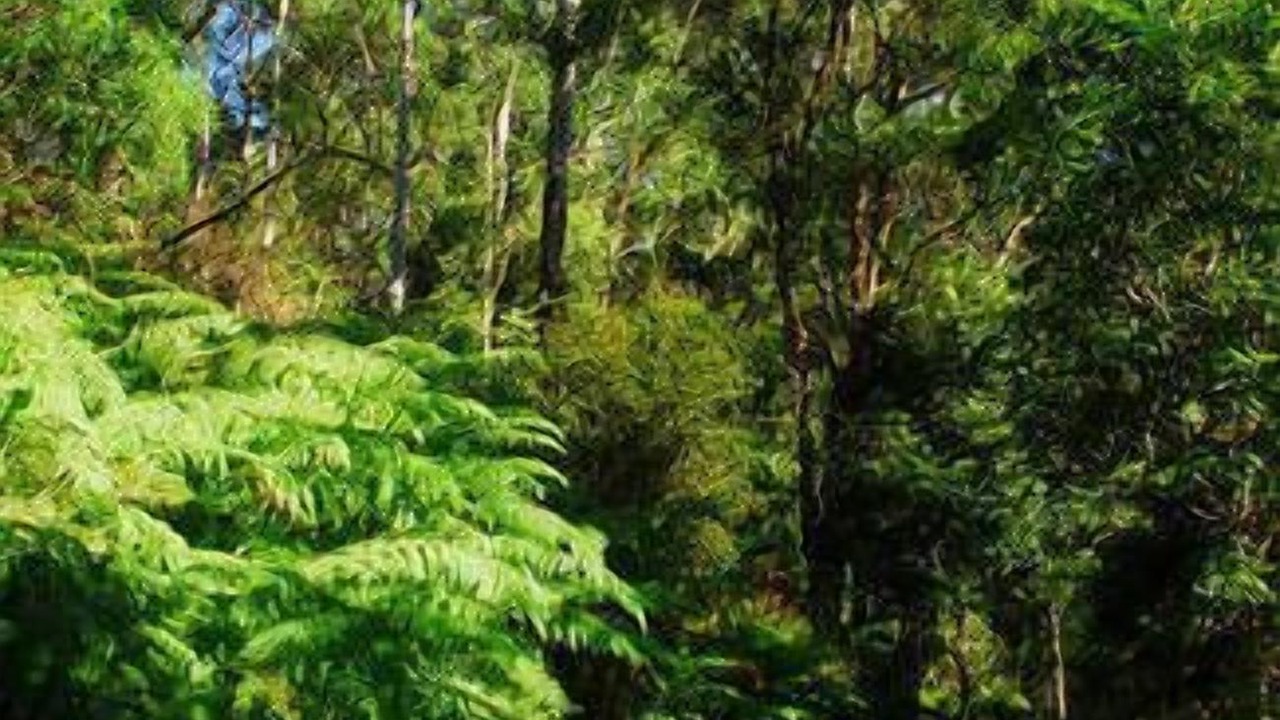 Photo of Outdoor in Bundewallah