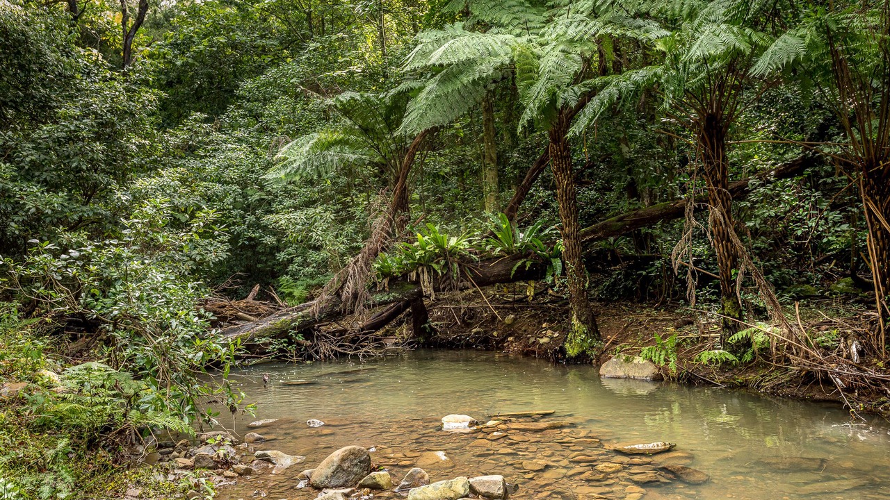 Photo of Outdoor in Bundewallah