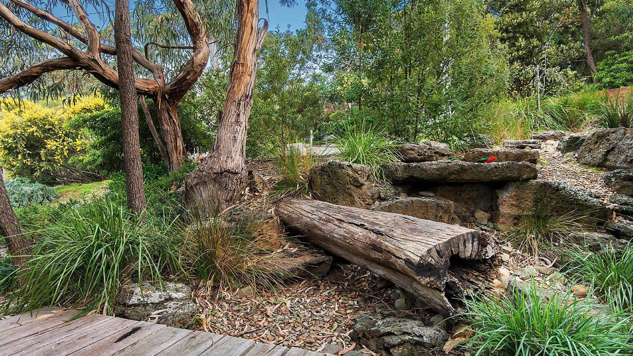 Photo of Outdoor in Lorne