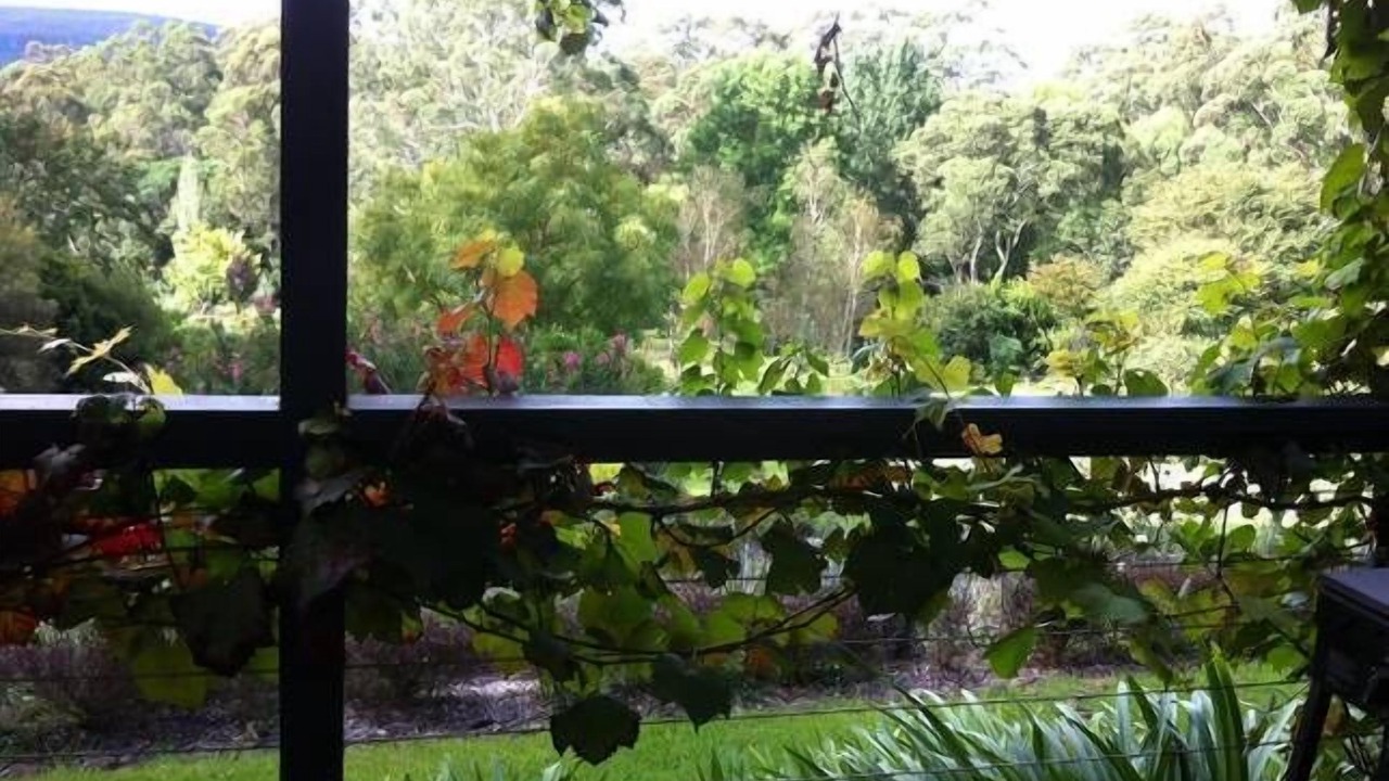 Photo of Outdoor in Bellawongarah