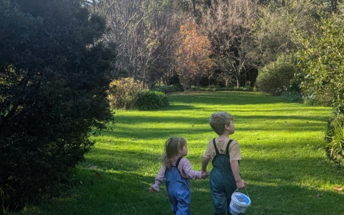 Photo of Others in Bellawongarah