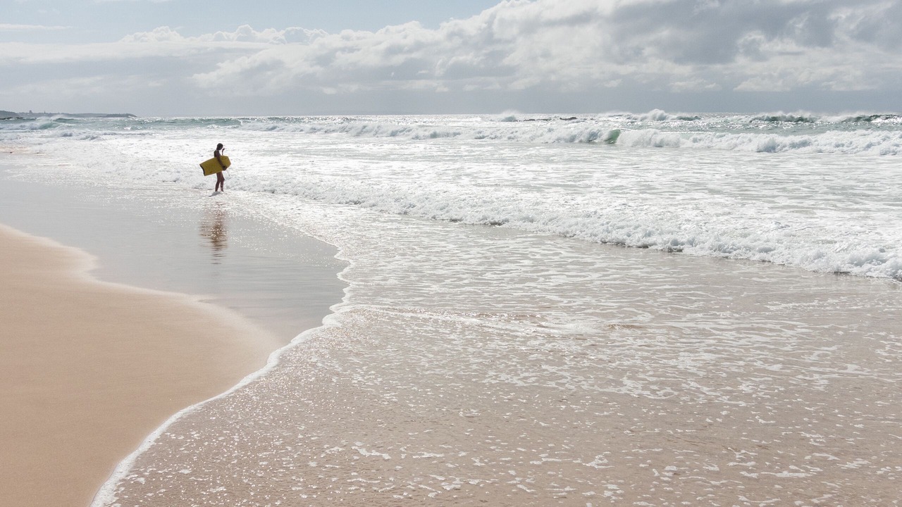 Photo of Others in Narrawallee