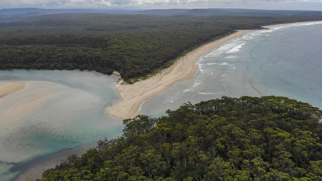 Photo of Others in Narrawallee