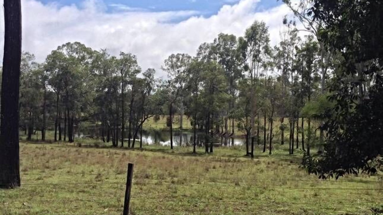 Photo of Outdoor in Mount Maria
