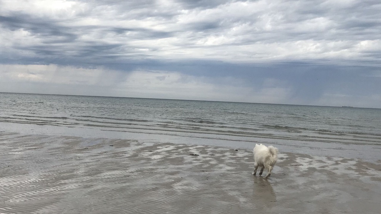 Photo of Others in Semaphore South