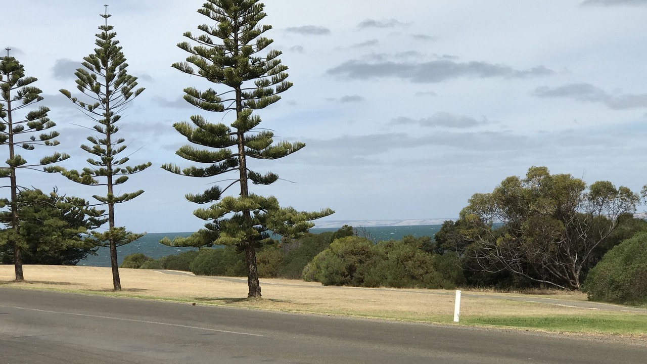 Photo of Others in Kingscote