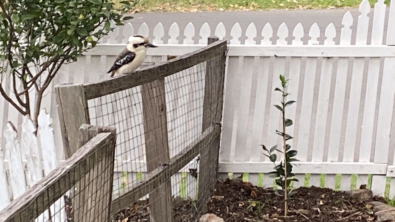 Photo of Outdoor in Kiama