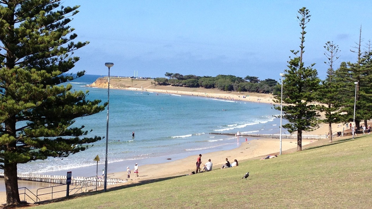Photo of Others in Torquay