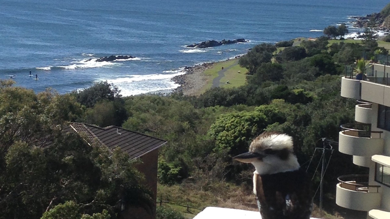 Photo of Outdoor in Forster