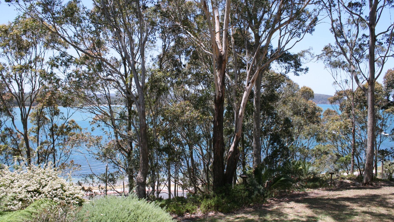 Photo of Patio Balcony in Batemans Bay