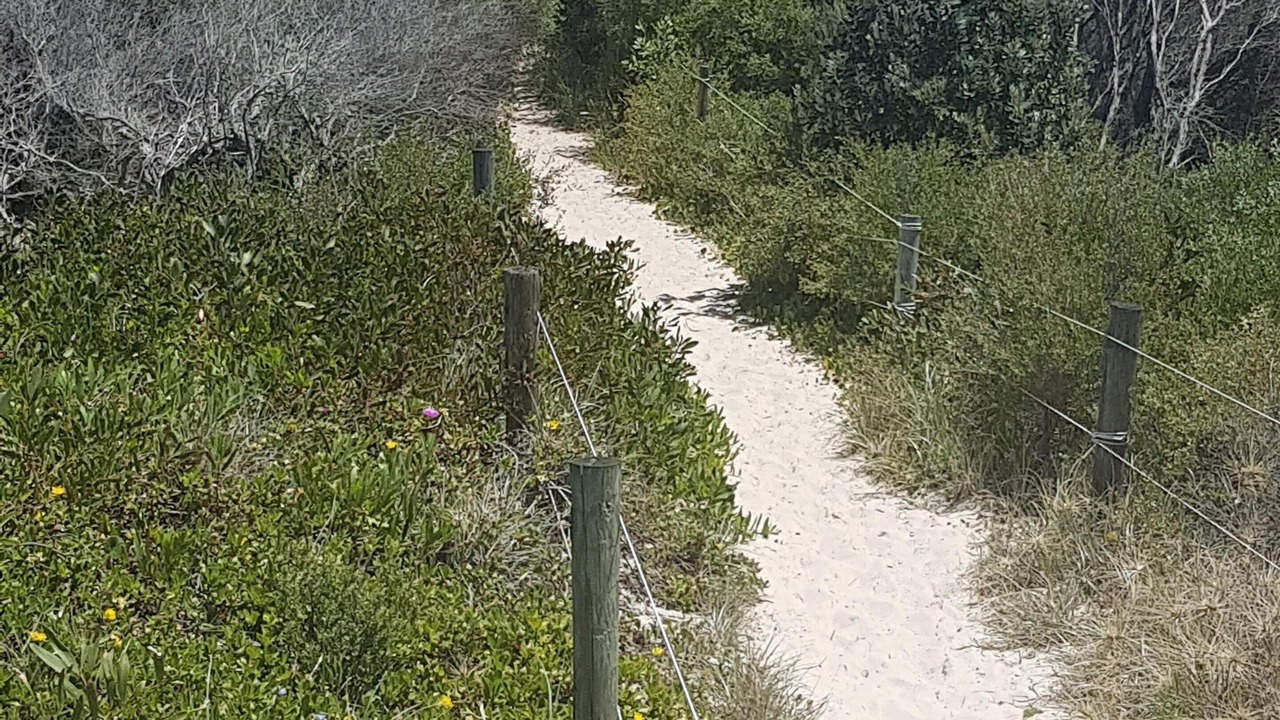 Photo of Others in Hawks Nest