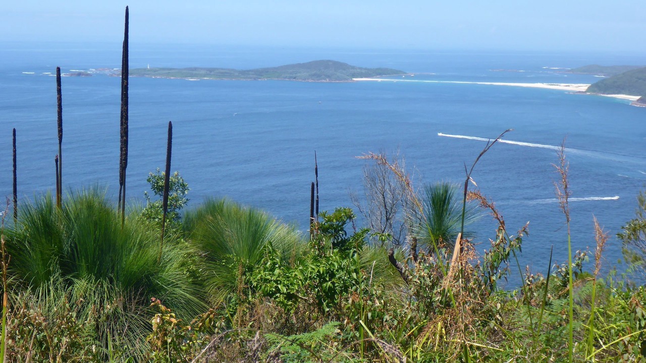 Photo of Others in Hawks Nest