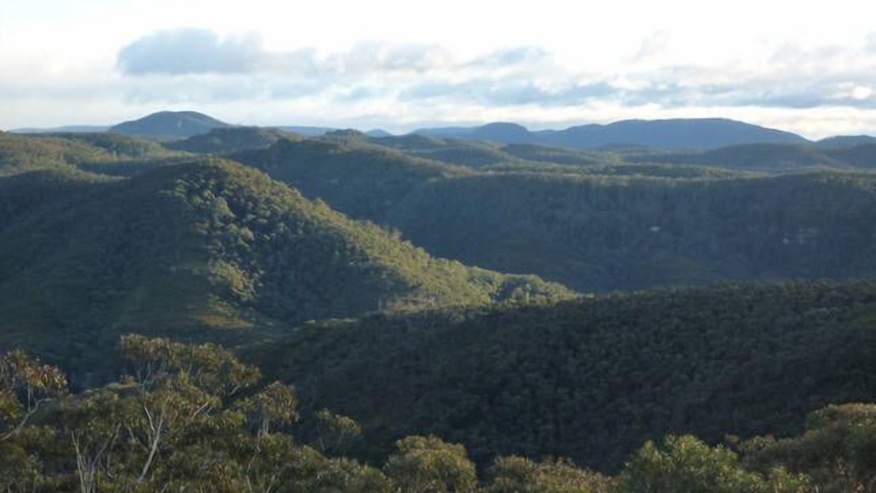 Photo of Others in Wentworth Falls