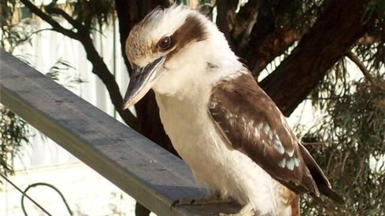 Photo of Others in Sorrento