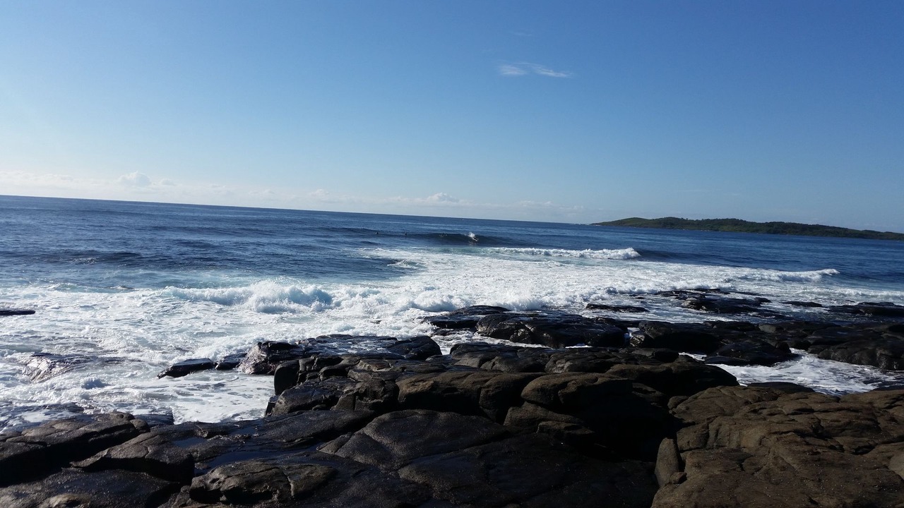 Photo of Others in Bawley Point