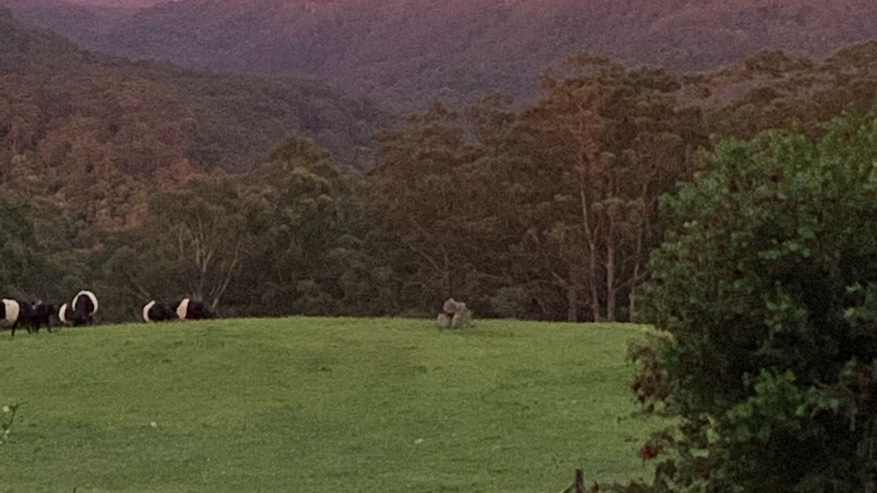 Photo of Others in Woodhill