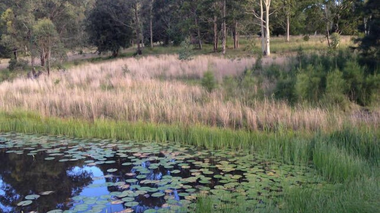 Photo of Outdoor in Bungwahl