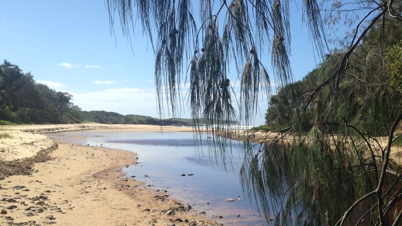 Photo of Others in Emerald Beach