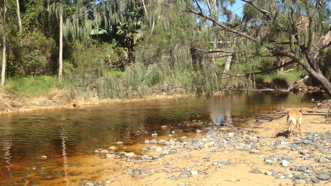 Photo of Others in Emerald Beach