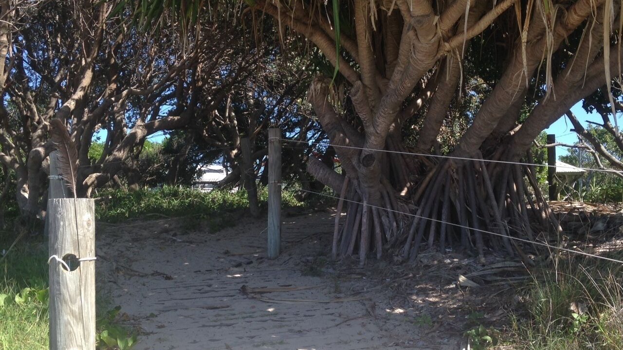 Photo of Others in Emerald Beach