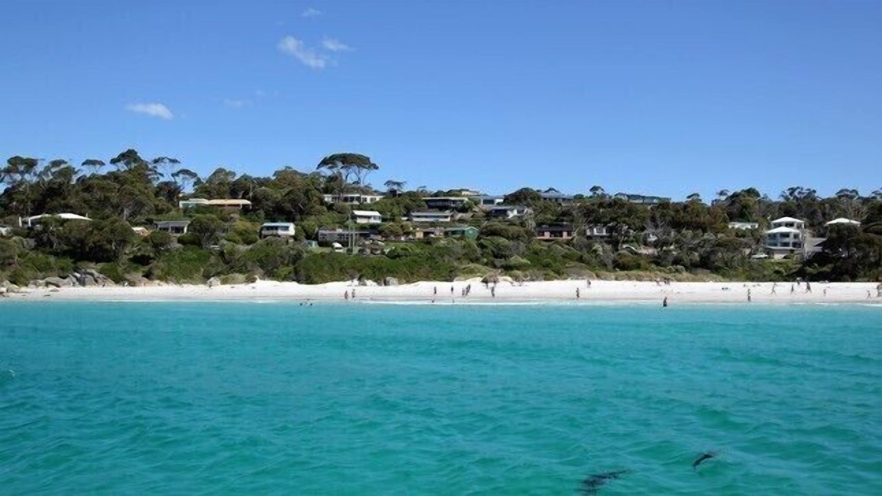 Photo of Others in Binalong Bay
